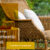 authentic bali indonesia blogs (3)